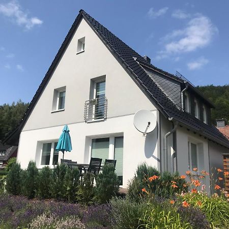 Ferienwohnungen Am Koehlerhang Bad Lauterberg Im Harz Exteriör bild